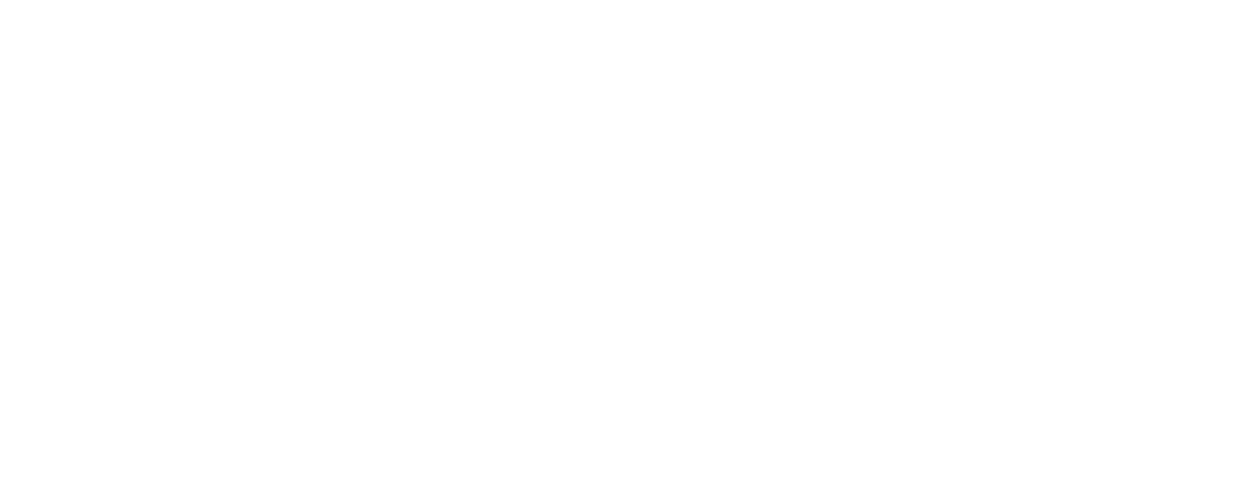 Logo_FleischmannBerzAG_RGB_weiss